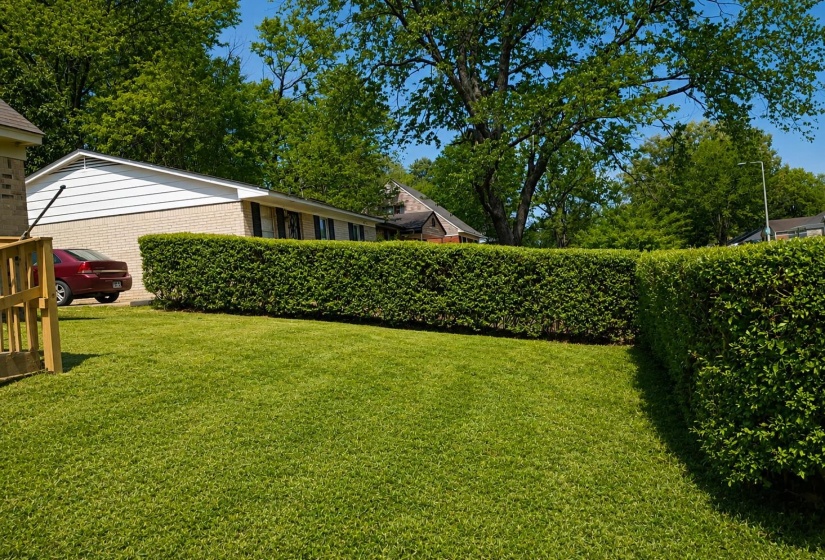 Expansive lawn area featuring well-maintained hedges and mature trees