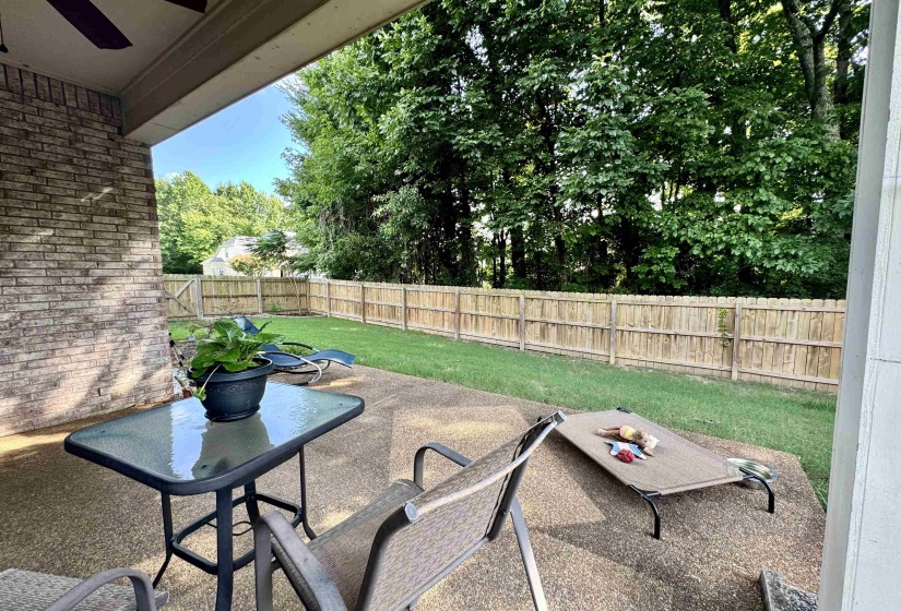 Covered patio area featuring a ceiling fan, brick siding, and a concrete patio surface
