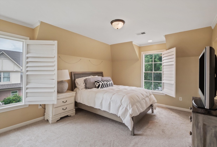 Carpeted room featuring multiple windows with white louvered shutters, crown molding, and a flush mount ceiling fixture