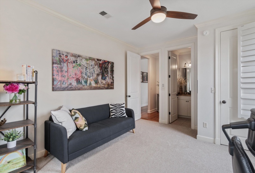 Plush carpeted room featuring crown molding, a ceiling fan with light fixture, and white plantation shutters