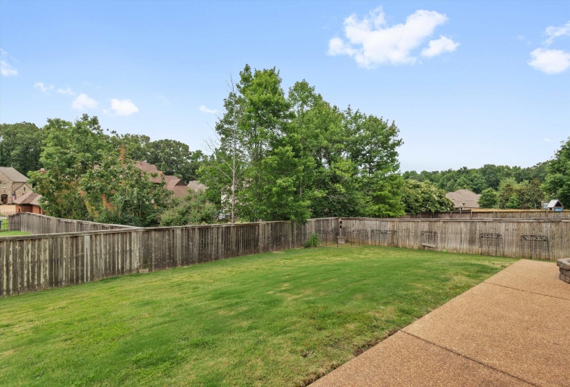 Expansive rear lawn featuring a wooden privacy fence, mature trees, and a textured concrete patio
