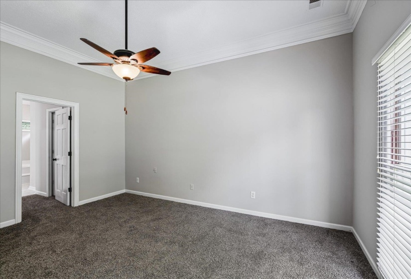 Spacious room featuring gray wall paint, dark carpet flooring, and white crown molding