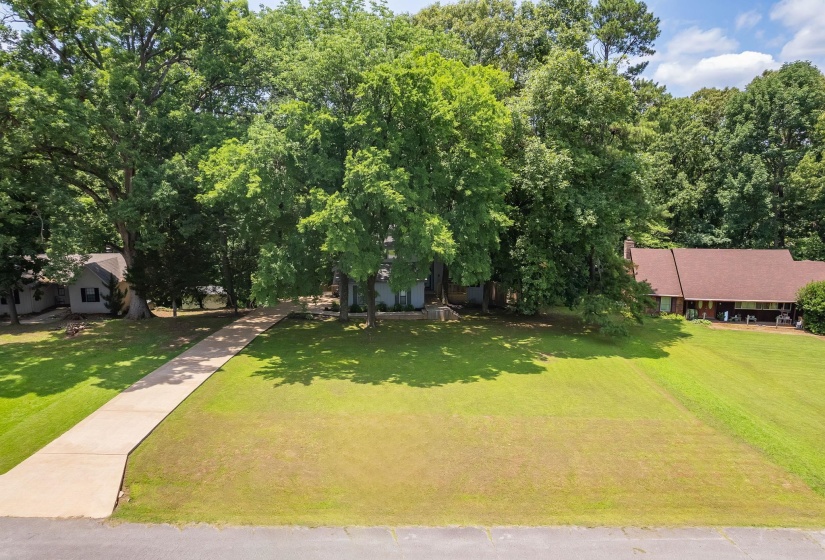 Expansive green lawn with mature trees and a paved driveway