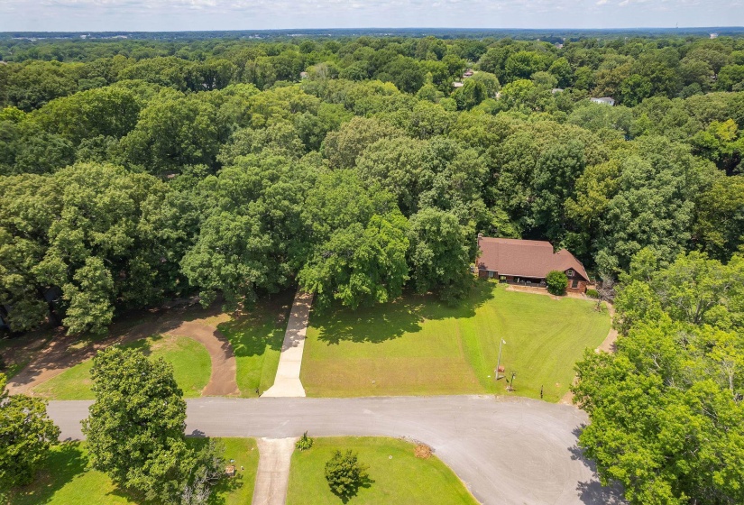 Wooded acreage featuring a single-story residence with a brown shingle roof, expansive green lawn, and a concrete driveway