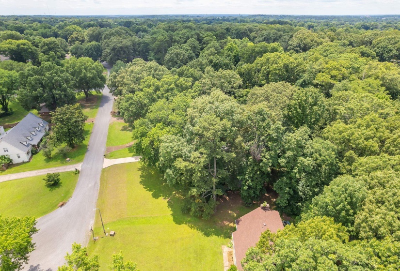 Aerial perspective showcasing a residential street with mature tree coverage
