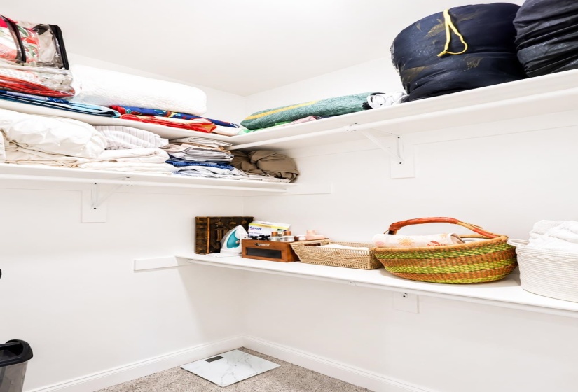 Well-lit closet featuring white walls, white shelving, and light-toned carpet flooring
