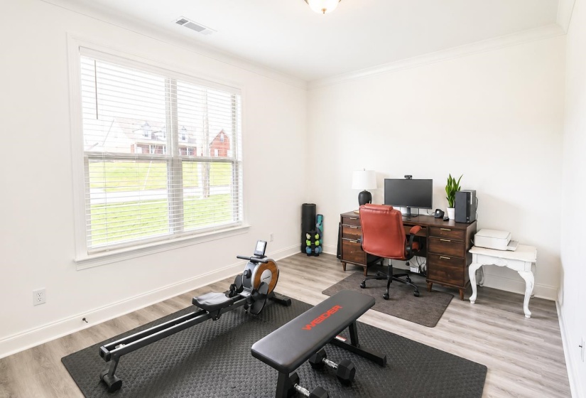 Bright room featuring a large window with blinds, light-toned wood-finish flooring, white walls, and crown molding