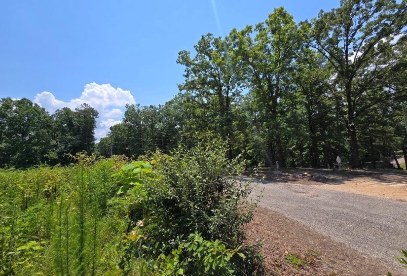 ELAM WAY, Savannah, Tennessee 38372, ,Land,For Sale,ELAM,10224872
