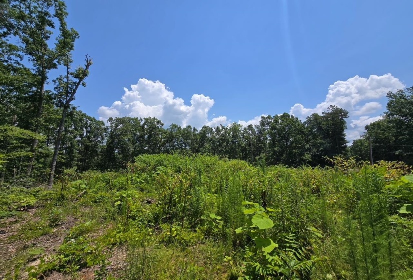 ELAM WAY, Savannah, Tennessee 38372, ,Land,For Sale,ELAM,10224872