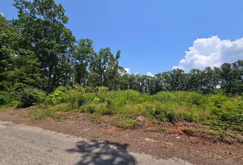 ELAM WAY, Savannah, Tennessee 38372, ,Land,For Sale,ELAM,10224872