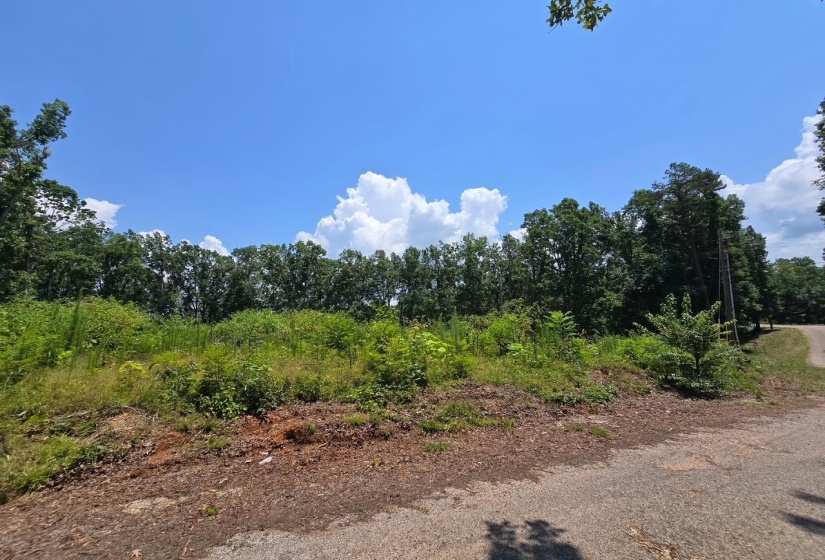 ELAM WAY, Savannah, Tennessee 38372, ,Land,For Sale,ELAM,10224872