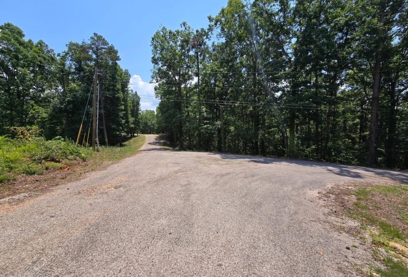 ELAM WAY, Savannah, Tennessee 38372, ,Land,For Sale,ELAM,10224872