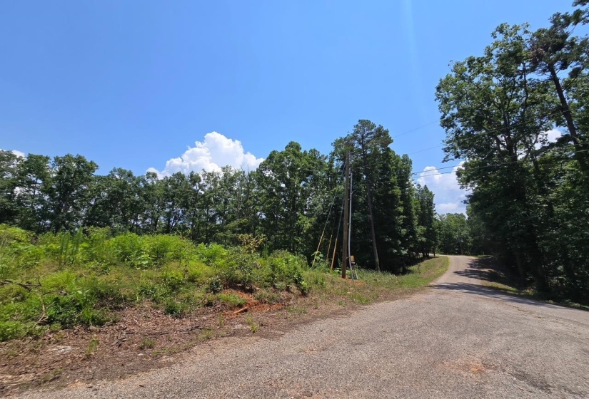ELAM WAY, Savannah, Tennessee 38372, ,Land,For Sale,ELAM,10224872