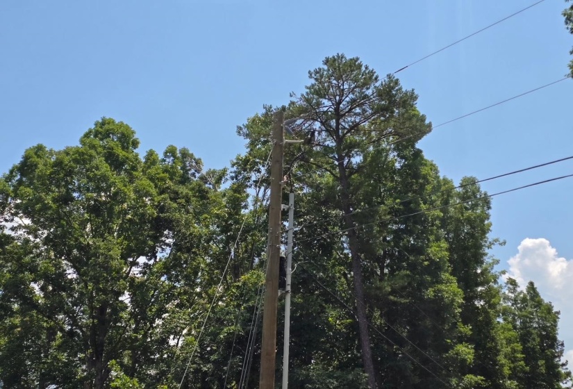 ELAM WAY, Savannah, Tennessee 38372, ,Land,For Sale,ELAM,10224872