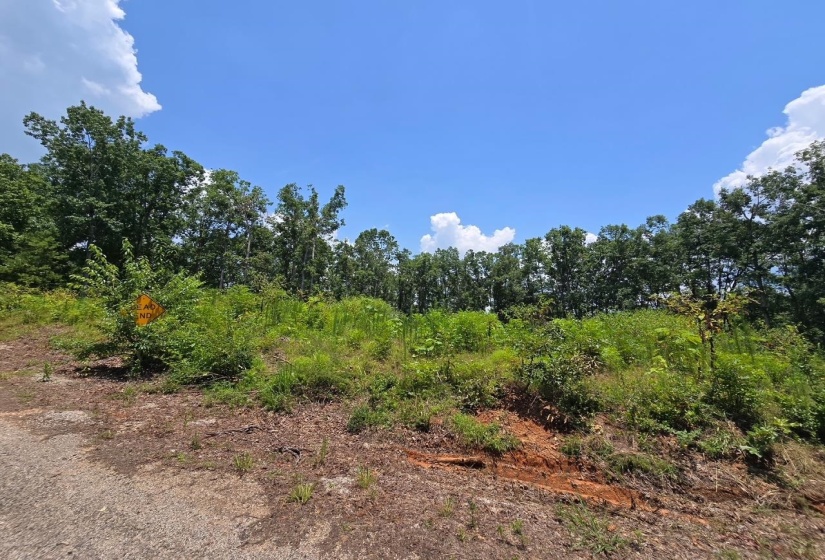 ELAM WAY, Savannah, Tennessee 38372, ,Land,For Sale,ELAM,10224872