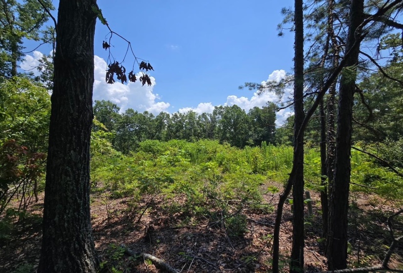ELAM WAY, Savannah, Tennessee 38372, ,Land,For Sale,ELAM,10224872