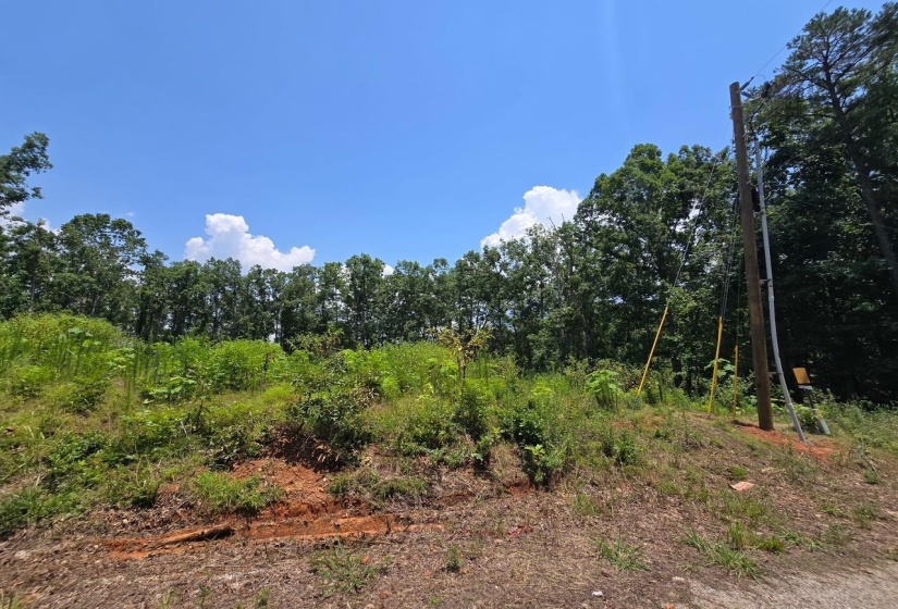 ELAM WAY, Savannah, Tennessee 38372, ,Land,For Sale,ELAM,10224872