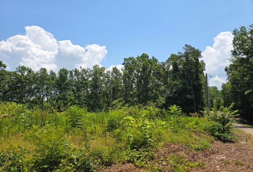 ELAM WAY, Savannah, Tennessee 38372, ,Land,For Sale,ELAM,10224872