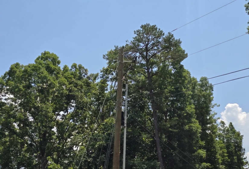 ELAM WAY, Savannah, Tennessee 38372, ,Land,For Sale,ELAM,10224872