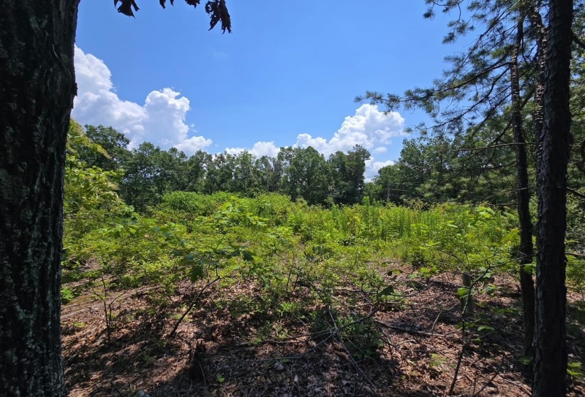 ELAM WAY, Savannah, Tennessee 38372, ,Land,For Sale,ELAM,10224872