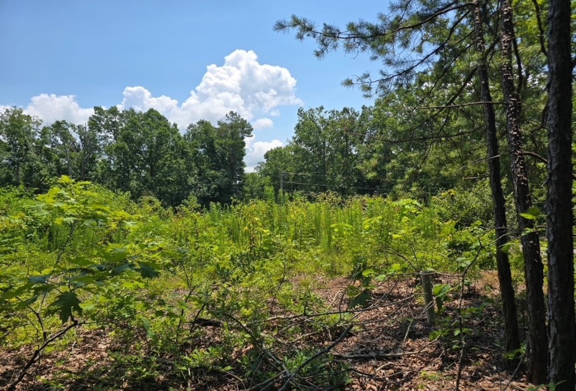 ELAM WAY, Savannah, Tennessee 38372, ,Land,For Sale,ELAM,10224872