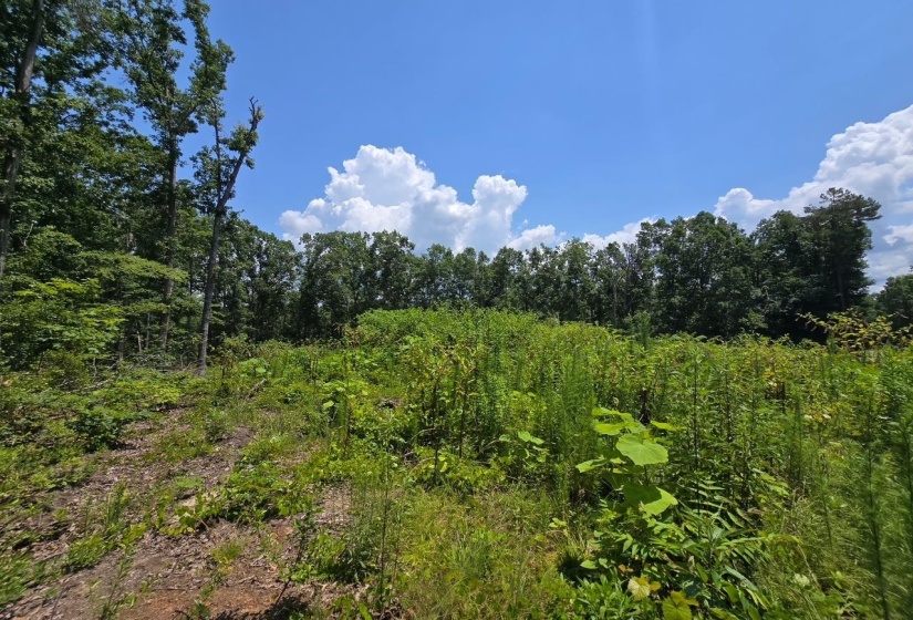ELAM WAY, Savannah, Tennessee 38372, ,Land,For Sale,ELAM,10224872
