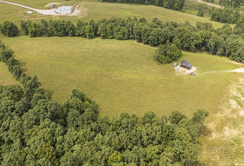 1756 COLLINWOOD HWY, Collinwood, Tennessee 38450, ,Land,For Sale,COLLINWOOD,10224906