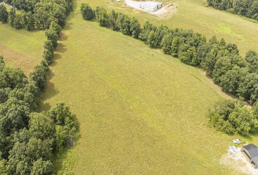 1756 COLLINWOOD HWY, Collinwood, Tennessee 38450, ,Land,For Sale,COLLINWOOD,10224906