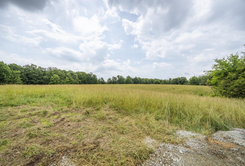 1756 COLLINWOOD HWY, Collinwood, Tennessee 38450, ,Land,For Sale,COLLINWOOD,10224906