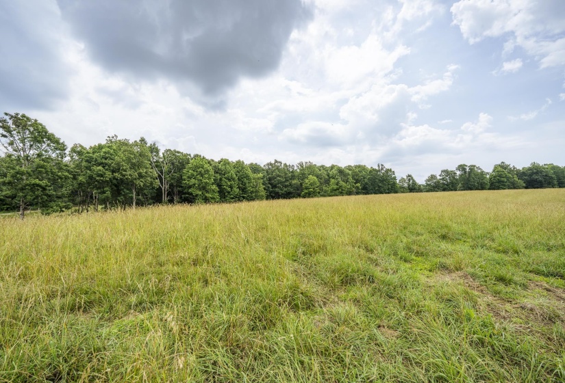 1756 COLLINWOOD HWY, Collinwood, Tennessee 38450, ,Land,For Sale,COLLINWOOD,10224906