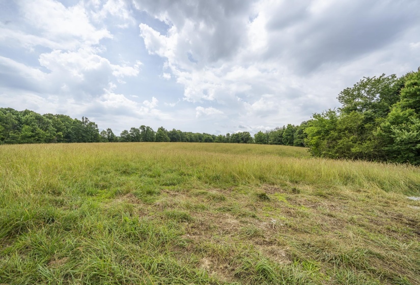 1756 COLLINWOOD HWY, Collinwood, Tennessee 38450, ,Land,For Sale,COLLINWOOD,10224906