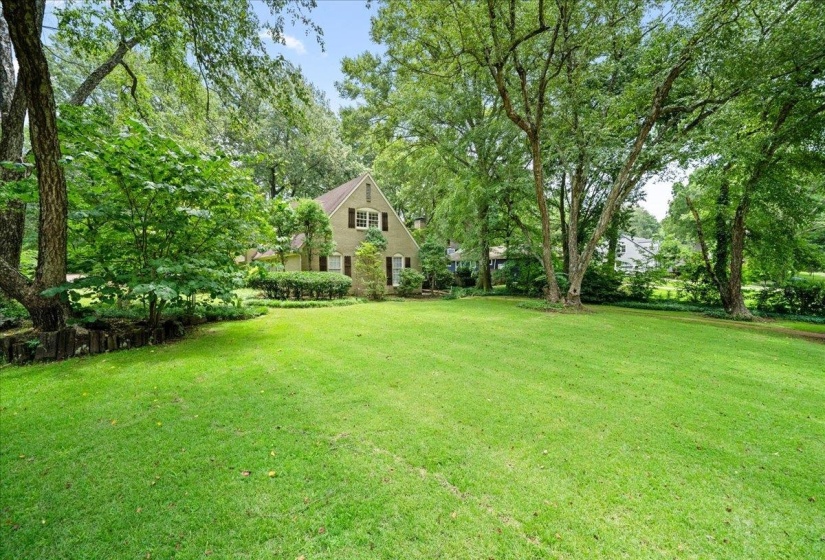 View of green lawn