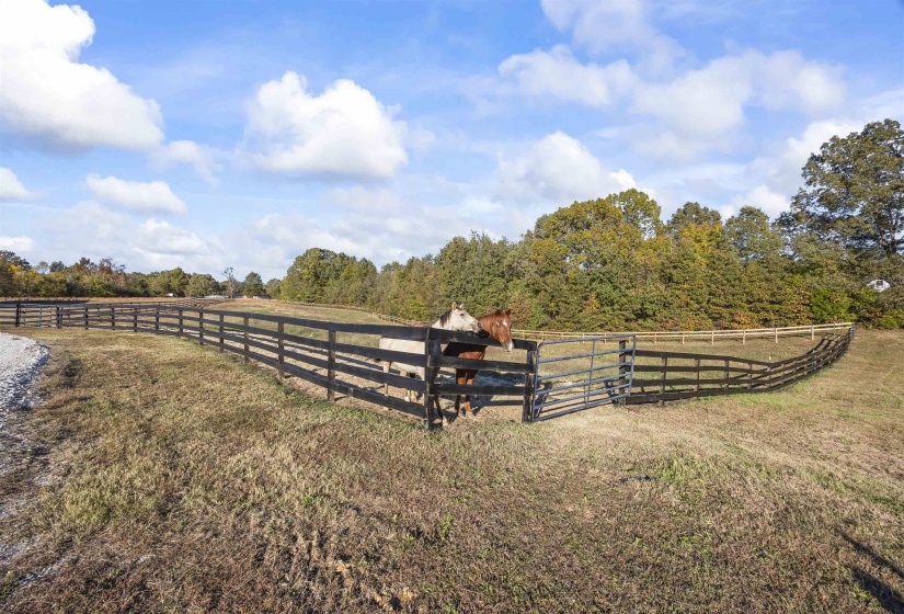 Expansive fenced pastureland featuring a dark-toned perimeter fence and a light-toned interior fence line