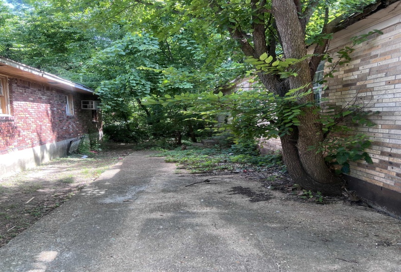Concrete pathway between two brick-sided structures, surrounded by mature trees and foliage
