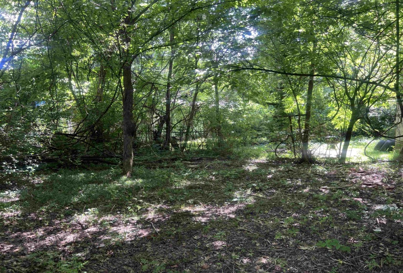 Wooded lot featuring mature trees and natural ground cover