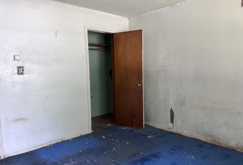 Room featuring a wood-finish door, blue carpeting, and a closet with wood shelving