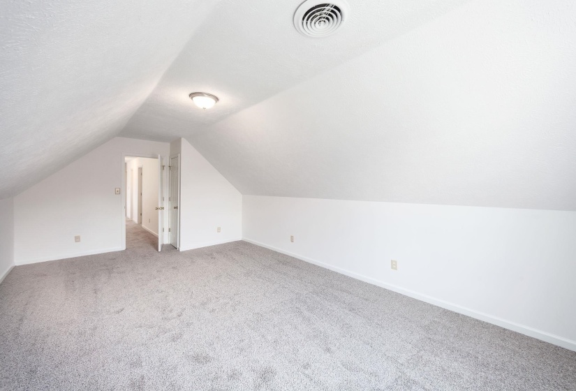 Spacious room featuring vaulted ceilings, light gray carpeting, and a flush-mount ceiling light