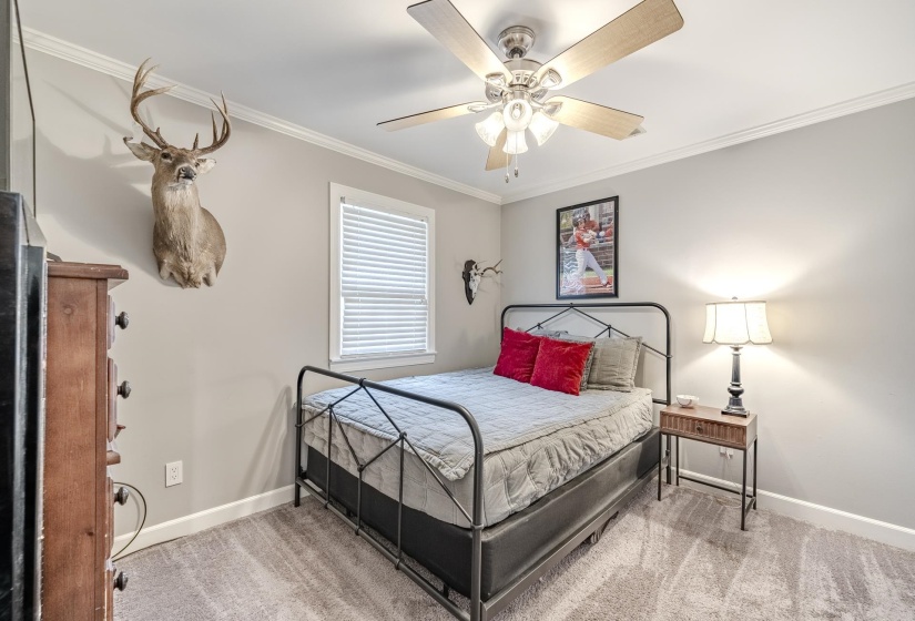 Carpeted bedroom with a window featuring horizontal blinds, crown molding, and a ceiling fan with integrated lighting