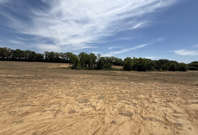 8324 MUDVILLE DR, Millington, Tennessee 38004, ,Land,For Sale,MUDVILLE,10224931