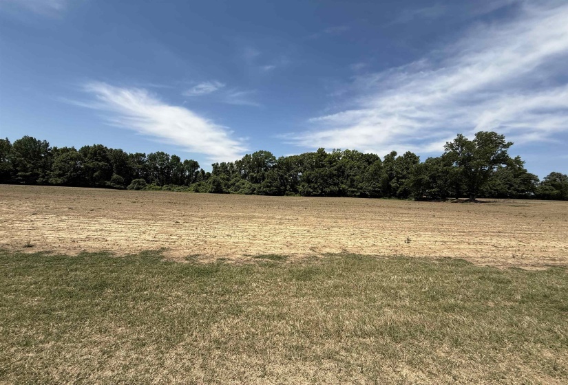 8324 MUDVILLE DR, Millington, Tennessee 38004, ,Land,For Sale,MUDVILLE,10224931