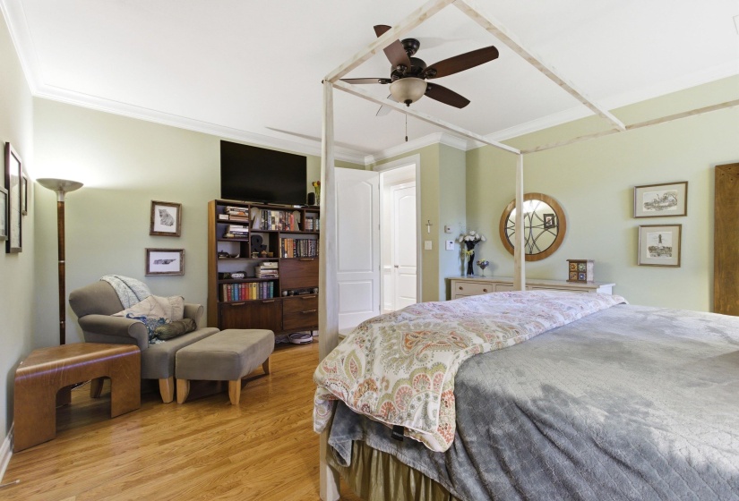 Expansive bedroom featuring wood-finish flooring, crown molding, and a ceiling fan
