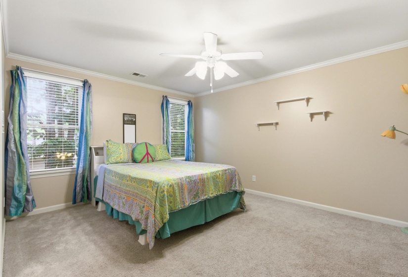 Carpeted room featuring a ceiling fan, crown molding, two windows with blinds, and light-toned walls