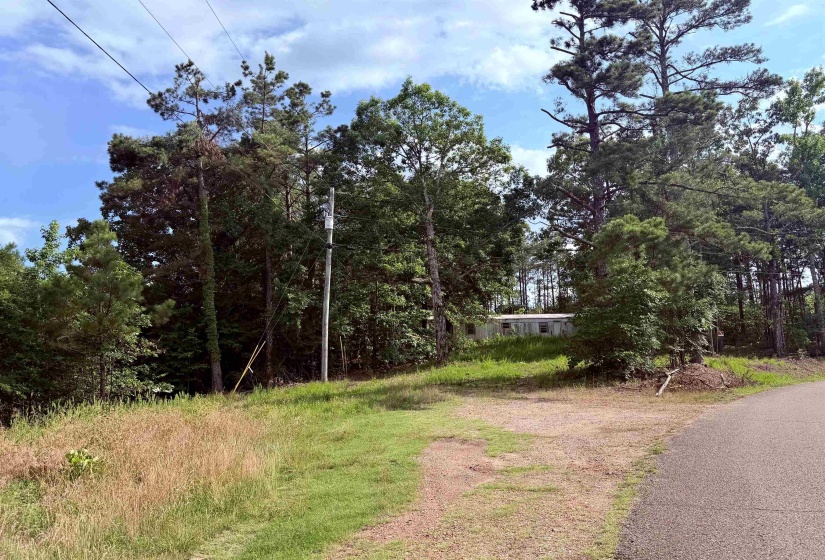 950 FEDDIE DAVIS RD, Selmer, Tennessee 38375-5460, ,Land,For Sale,FEDDIE DAVIS,10224955