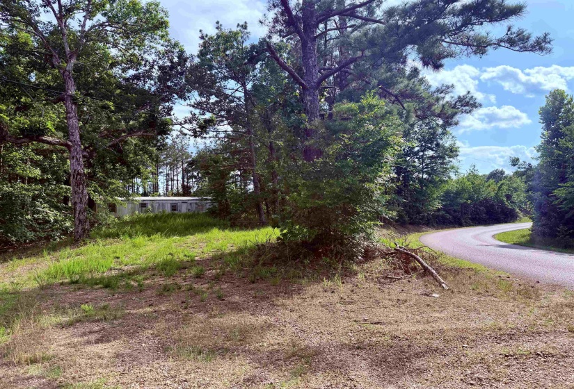 950 FEDDIE DAVIS RD, Selmer, Tennessee 38375-5460, ,Land,For Sale,FEDDIE DAVIS,10224955