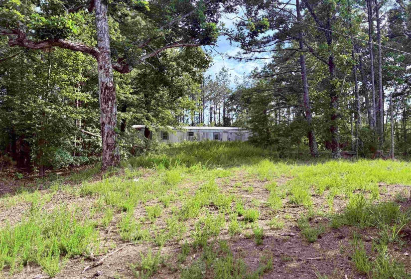 950 FEDDIE DAVIS RD, Selmer, Tennessee 38375-5460, ,Land,For Sale,FEDDIE DAVIS,10224955