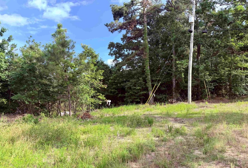 950 FEDDIE DAVIS RD, Selmer, Tennessee 38375-5460, ,Land,For Sale,FEDDIE DAVIS,10224955