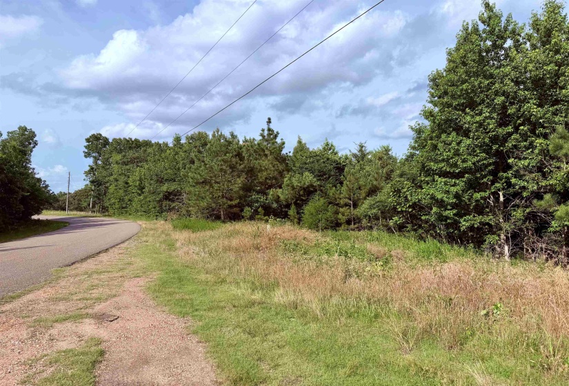 950 FEDDIE DAVIS RD, Selmer, Tennessee 38375-5460, ,Land,For Sale,FEDDIE DAVIS,10224955