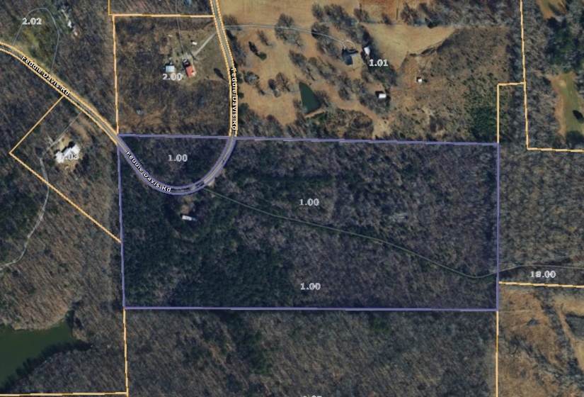 950 FEDDIE DAVIS RD, Selmer, Tennessee 38375-5460, ,Land,For Sale,FEDDIE DAVIS,10224955