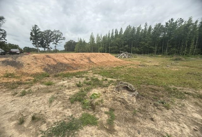 31880 HIGHWAY 69 HWY, Morris Chapel, Tennessee 38362, ,Land,For Sale,HIGHWAY 69,10224971