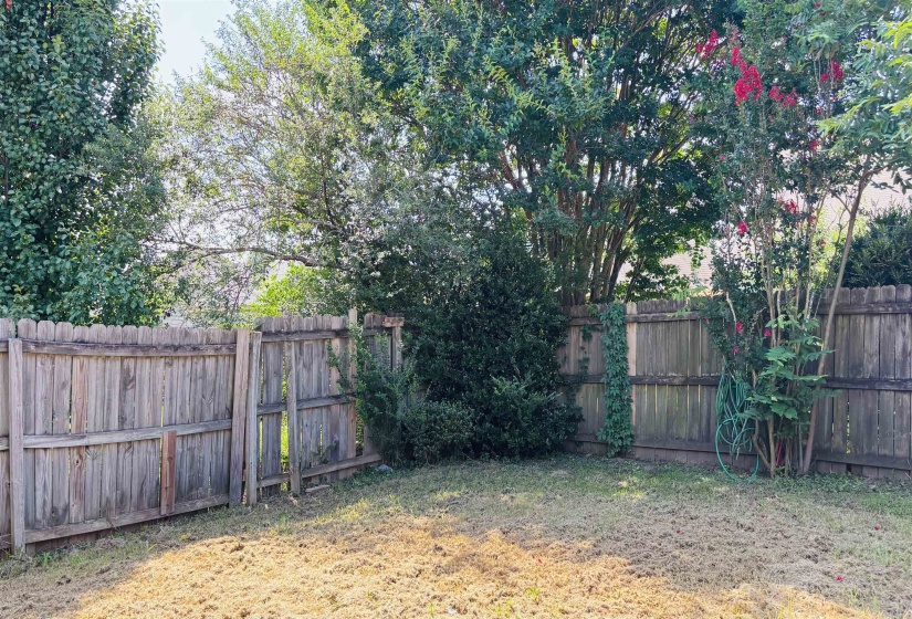 Fenced backyard with mature trees and shrubbery, featuring a wood privacy fence and natural landscaping